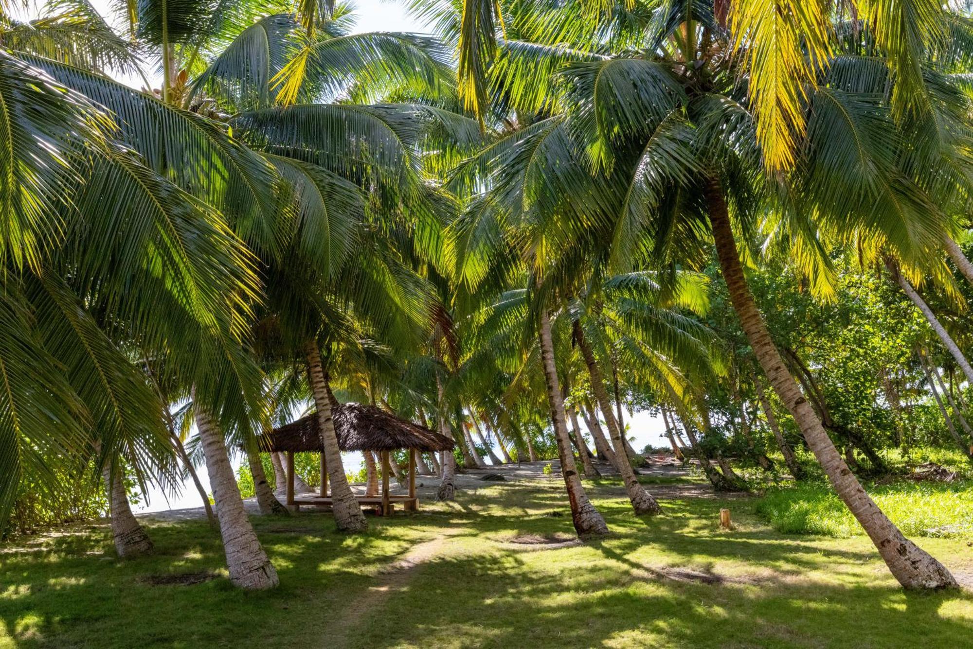 Aloita Resort Mentawai Tua Pejat Ngoại thất bức ảnh